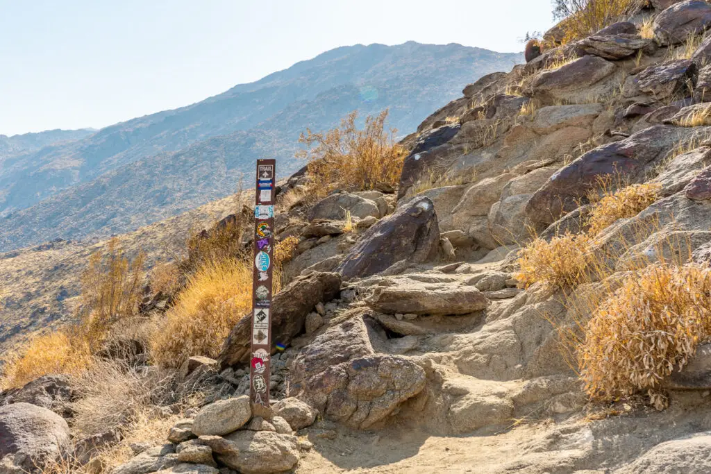 Best Hikes in Southern California featuring Cactus to Clouds Trail on San Jacinto Peak in Palm Springs