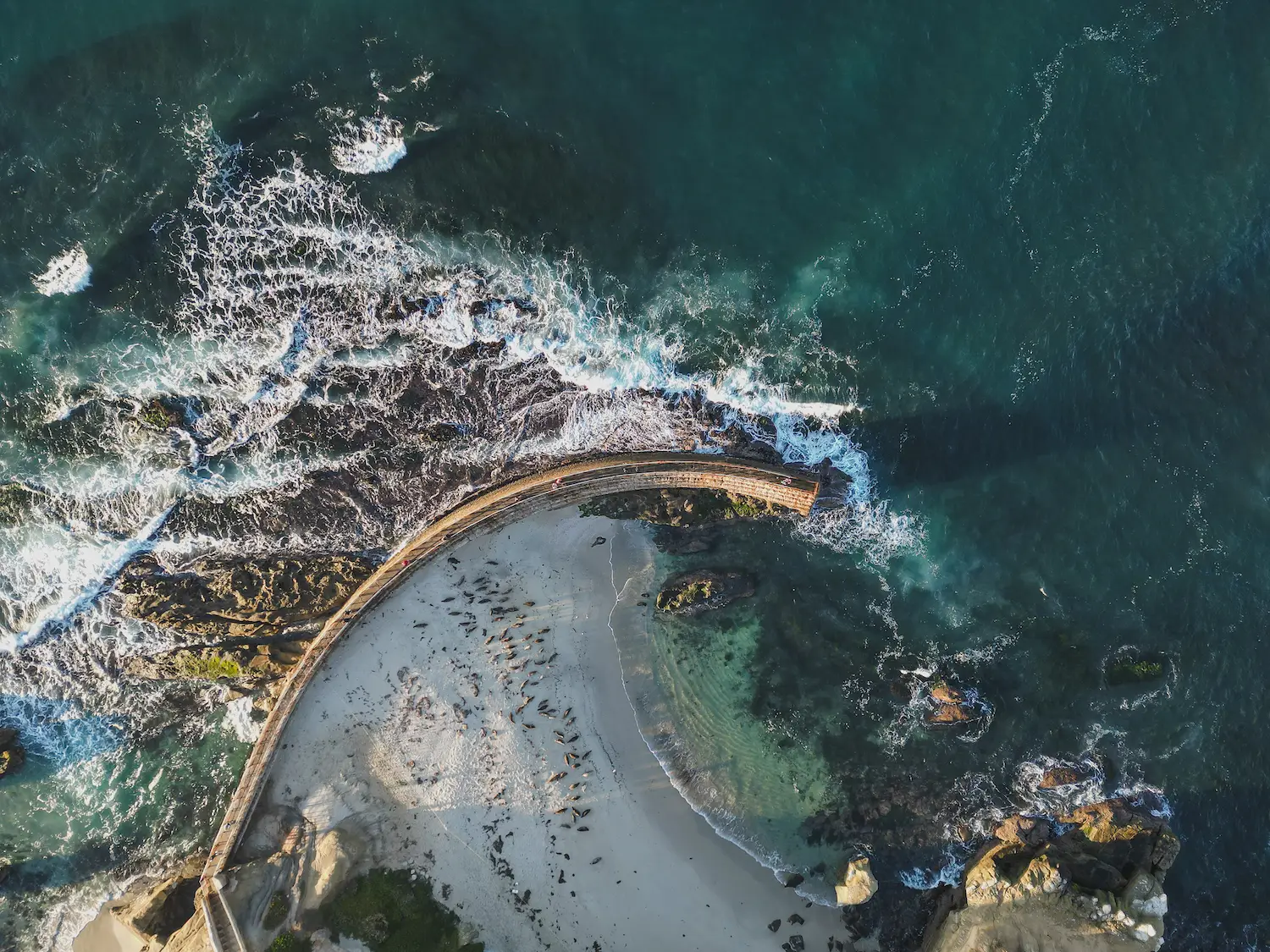 Aerial view of San Diego's Children's Pool located near the La Jolla Cove where a colony of seals lives